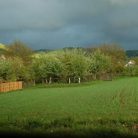Rezydencja Terra Sudeta Bed & Breakfast Miedzylesie (Silesia)