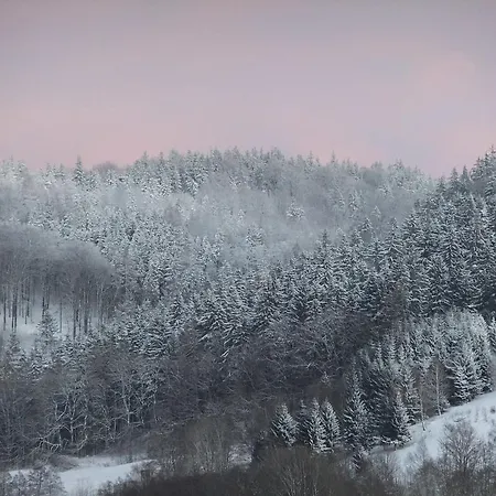 فندق مبيت وإفطار Rezydencja Terra Sudeta مينزليجة