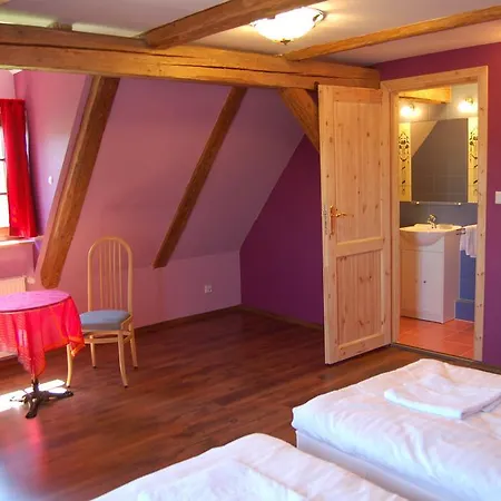 Bed and breakfast Rezydencja Terra Sudeta Międzylesie