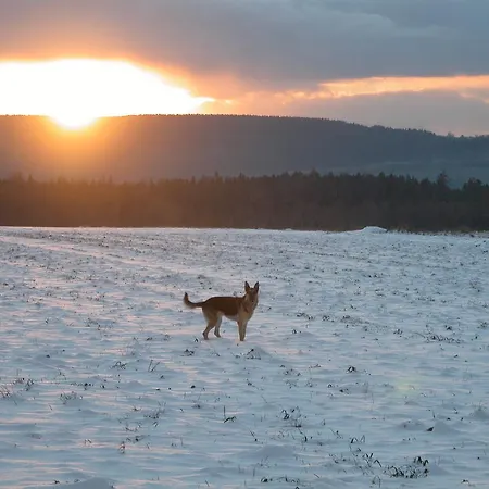 Rezydencja Terra Sudeta