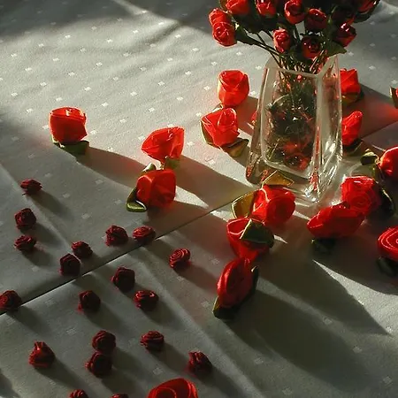 Rezydencja Terra Sudeta فندق مبيت وإفطار 3*