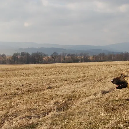 Rezydencja Terra Sudeta 3* Międzylesie