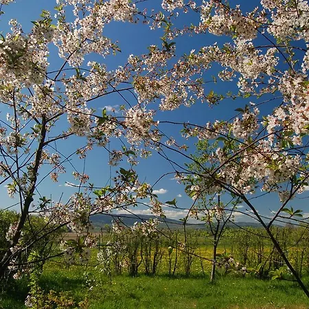 Rezydencja Terra Sudeta 3* Międzylesie