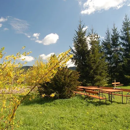 Rezydencja Terra Sudeta Bed & Breakfast 3*