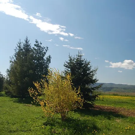 فندق مبيت وإفطار Rezydencja Terra Sudeta