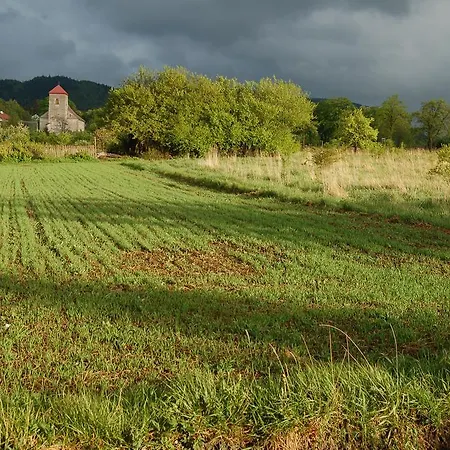 فندق مبيت وإفطار Rezydencja Terra Sudeta