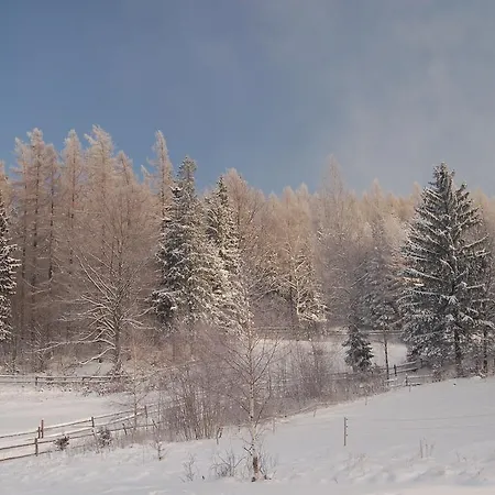 فندق مبيت وإفطار Rezydencja Terra Sudeta 3*