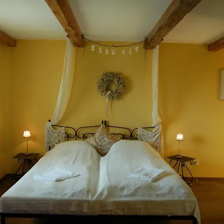 Rezydencja Terra Sudeta Międzylesie