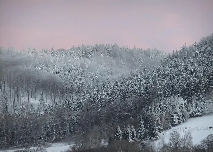 Bed & Breakfast Rezydencja Terra Sudeta Miedzylesie (Silesia)