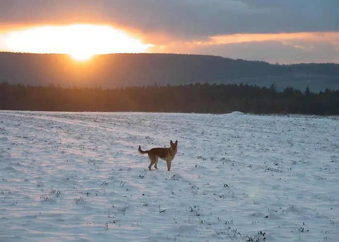 Rezydencja Terra Sudeta