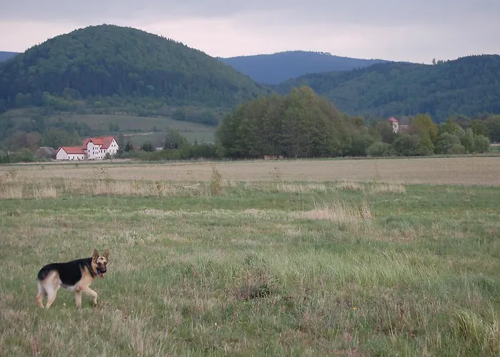 Rezydencja Terra Sudeta Bed & Breakfast 3*