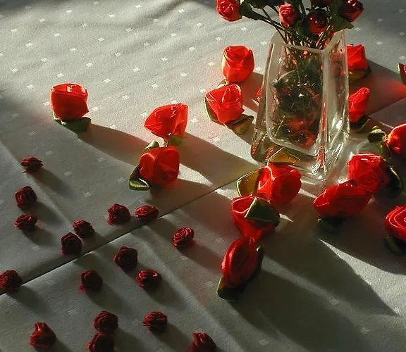 Rezydencja Terra Sudeta Bed & Breakfast 3*