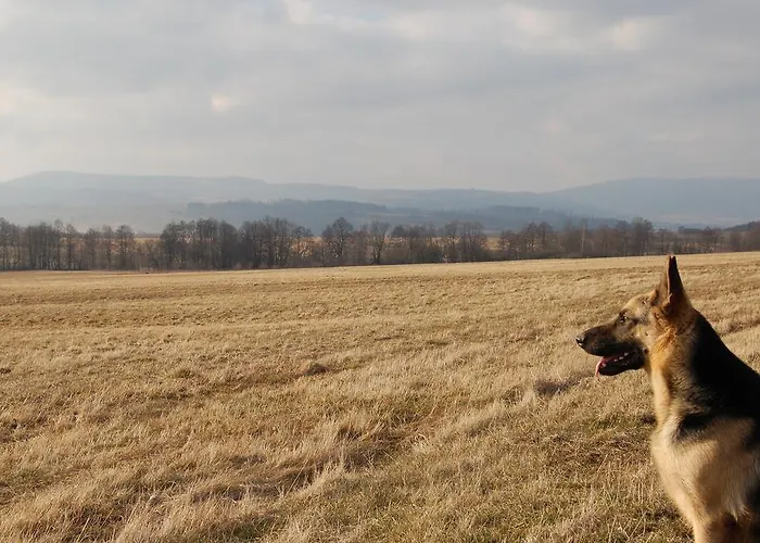 Rezydencja Terra Sudeta 3* Miedzylesie (Silesia)