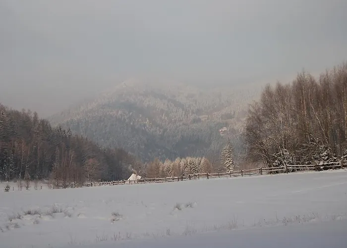 Rezydencja Terra Sudeta Miedzylesie (Silesia)